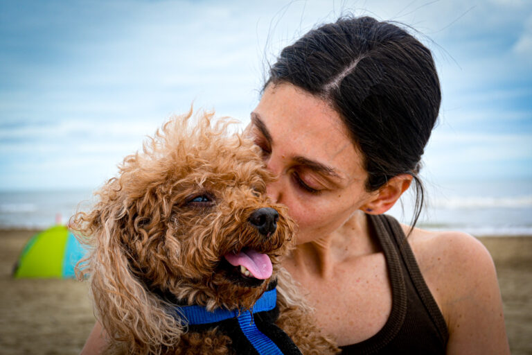 sesión fotográfica de mascotas